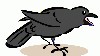 bird_crow.gif