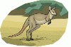 kangaroo2.gif