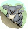 koala2.gif