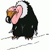 vulture2.gif